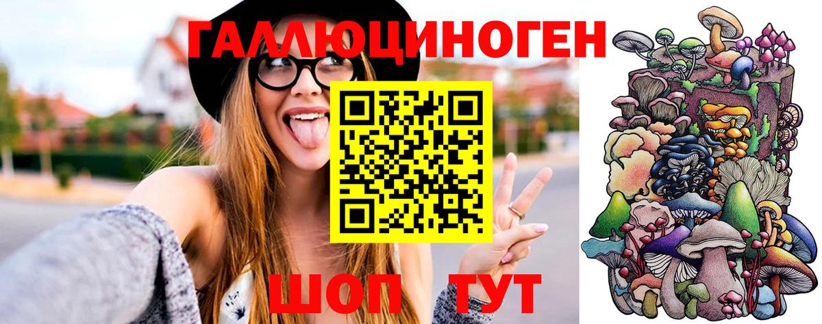 Великий Новгород  Псилоцибиновые грибы MAGIC MUSHROOMS  Псилоцибиновые грибы Magic Shrooms  наркота  Вход с VPN 