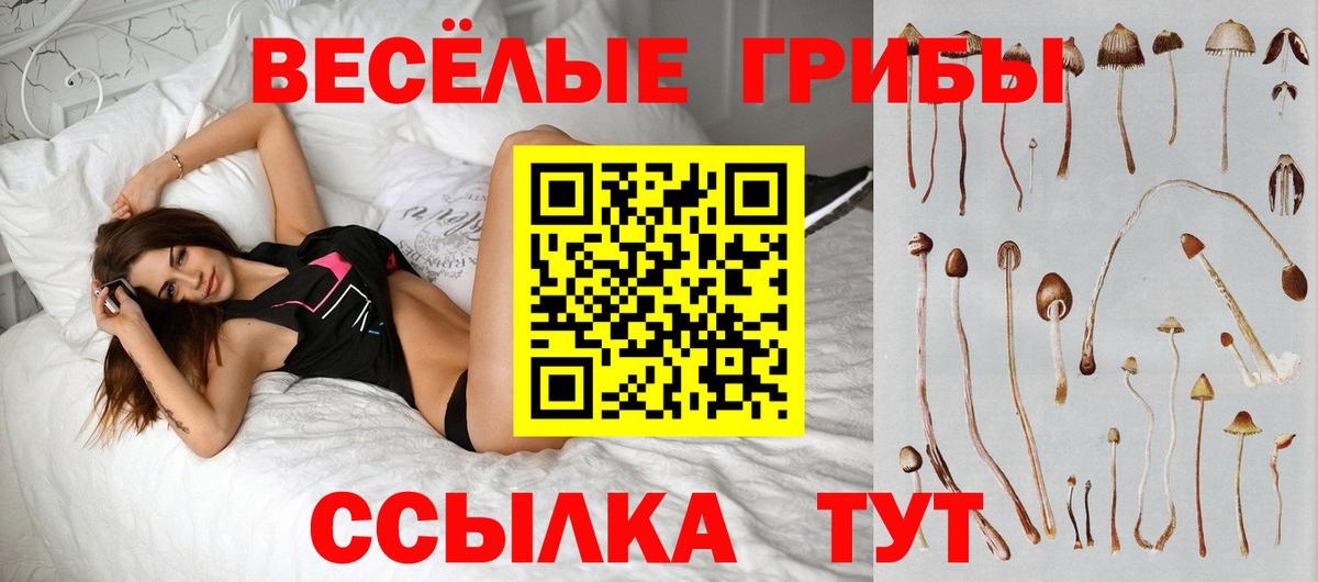 Псилоцибиновые грибы MAGIC MUSHROOMS Великий Новгород