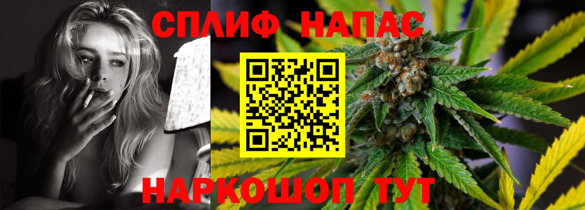 Марихуана сатива Великий Новгород